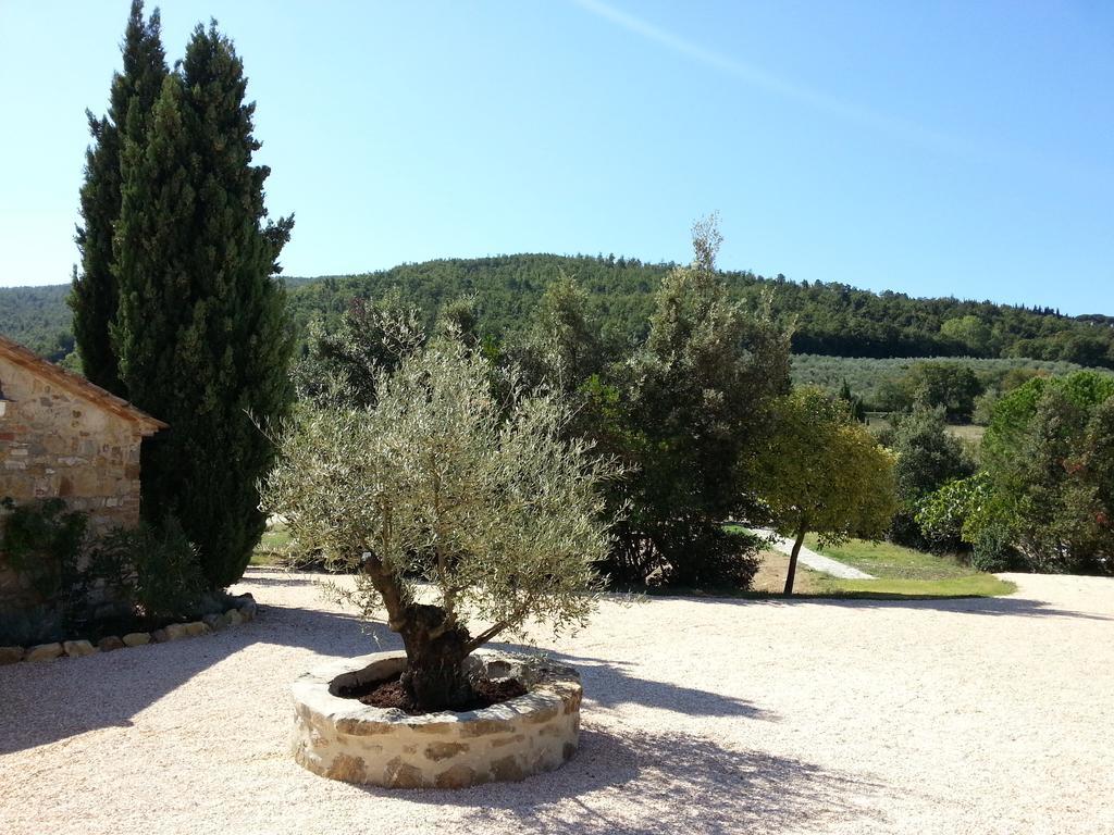 Locanda Cugnanello Anqua Exterior foto