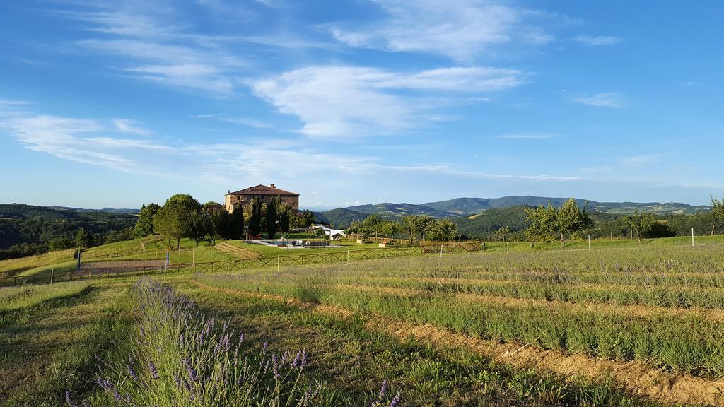 Locanda Cugnanello Anqua Exterior foto